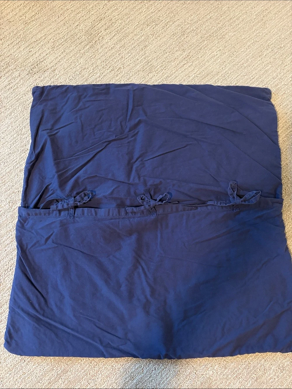 Pottery Barn Kids Euro Sham